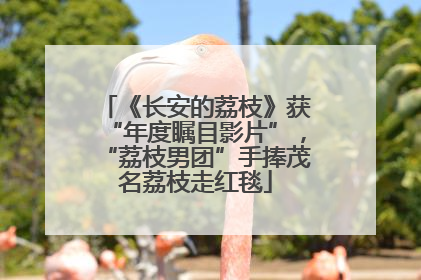 《长安的荔枝》获“年度瞩目影片”，“荔枝男团”手捧茂名荔枝走红毯