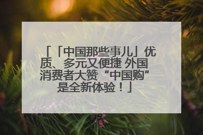 「中国那些事儿」优质、多元又便捷 外国消费者大赞“中国购”是全新体验！