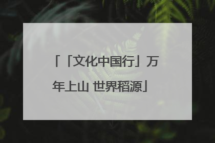 「文化中国行」万年上山 世界稻源