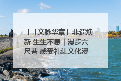 「文脉华章」非遗焕新 生生不息｜漫步六尺巷 感受礼让文化浸润的“巷”往生活