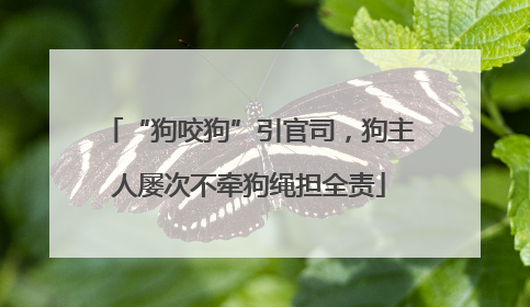 “狗咬狗”引官司，狗主人屡次不牵狗绳担全责