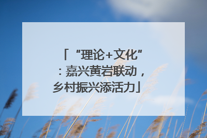 “理论+文化”：嘉兴黄岩联动，乡村振兴添活力