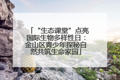 “生态课堂”点亮国际生物多样性日：金山区青少年探秘自然共筑生命家园