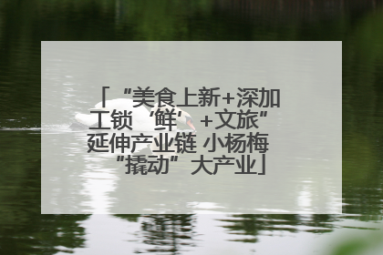 “美食上新+深加工锁‘鲜’+文旅”延伸产业链 小杨梅“撬动”大产业