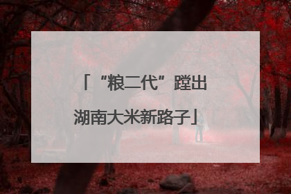 “粮二代”蹚出湖南大米新路子