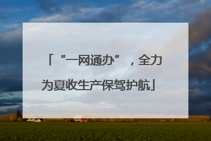 “一网通办”，全力为夏收生产保驾护航