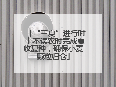 “三夏”进行时丨不误农时完成夏收夏种，确保小麦颗粒归仓