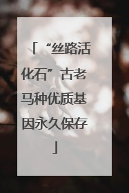 “丝路活化石”古老马种优质基因永久保存