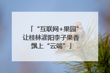“互联网+果园”让桂林灌阳李子果香飘上“云端”