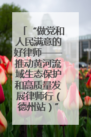 “做党和人民满意的好律师——推动黄河流域生态保护和高质量发展律师行（德州站）”活动成功举办