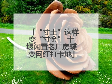 “寸土”这样变“寸金” 十堰闲置老厂房蝶变网红打卡地