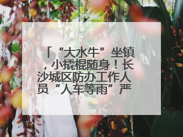 “大水牛”坐镇，小撬棍随身！长沙城区防办工作人员“人车等雨”严阵以待