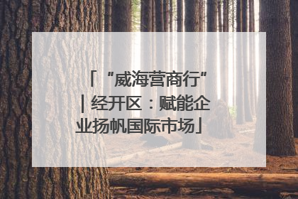 “威海营商行”｜经开区：赋能企业扬帆国际市场