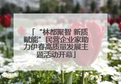 “林都聚智 新质赋能”民营企业家助力伊春高质量发展主题活动开幕