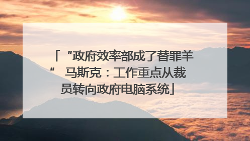 “政府效率部成了替罪羊” 马斯克：工作重点从裁员转向政府电脑系统