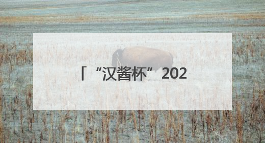“汉酱杯”2025中国·济南明湖龙舟文化节盛大开幕