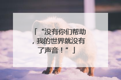 “没有你们帮助，我的世界就没有了声音！”
