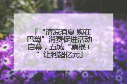 “清凉消夏 购在巴蜀”消费促进活动启幕，五城“票根+”让利超亿元