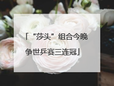 “莎头”组合今晚争世乒赛三连冠