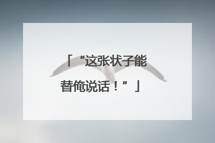 “这张状子能替俺说话！”