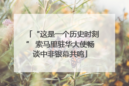 “这是一个历史时刻” 索马里驻华大使畅谈中非银幕共鸣