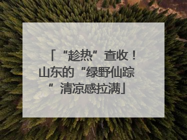 “趁热”查收！山东的“绿野仙踪”清凉感拉满