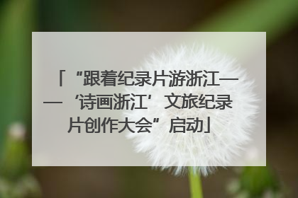 “跟着纪录片游浙江——‘诗画浙江’文旅纪录片创作大会”启动