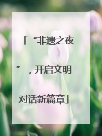 “非遗之夜”，开启文明对话新篇章