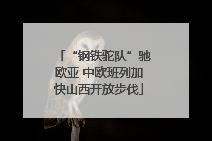 “钢铁驼队”驰欧亚 中欧班列加快山西开放步伐