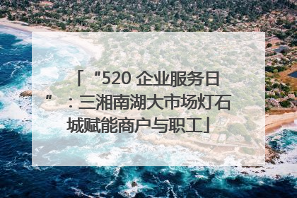 “520 企业服务日”：三湘南湖大市场灯石城赋能商户与职工