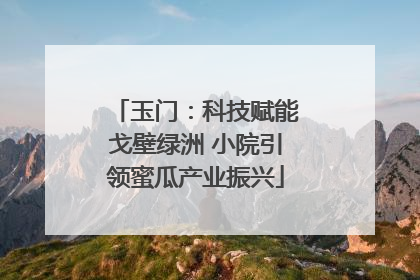 玉门：科技赋能戈壁绿洲 小院引领蜜瓜产业振兴