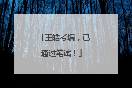 王皓考编，已通过笔试！