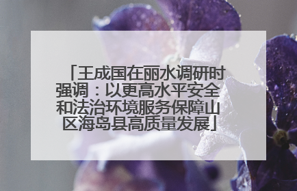 王成国在丽水调研时强调：以更高水平安全和法治环境服务保障山区海岛县高质量发展
