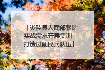炎陵县人武部紧贴实战需求开展集训 打造过硬民兵队伍