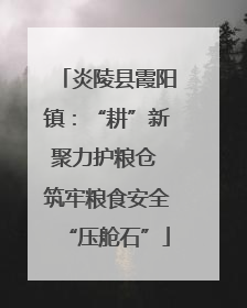炎陵县霞阳镇：“耕”新聚力护粮仓 筑牢粮食安全“压舱石”