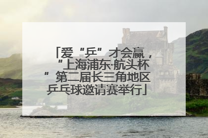 爱“乒”才会赢，“上海浦东·航头杯”第二届长三角地区乒乓球邀请赛举行