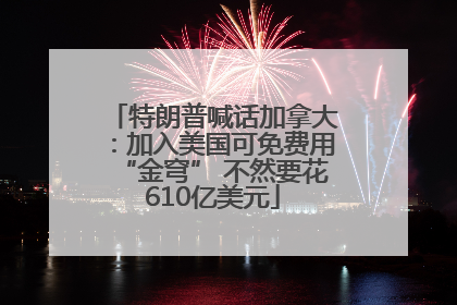 特朗普喊话加拿大：加入美国可免费用“金穹” 不然要花610亿美元