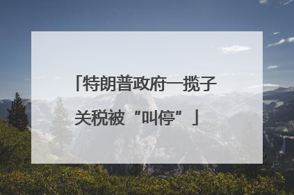 特朗普政府一揽子关税被“叫停”