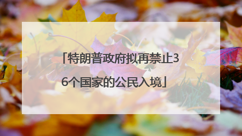 特朗普政府拟再禁止36个国家的公民入境
