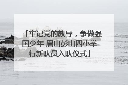 牢记党的教导，争做强国少年 眉山彭山四小举行新队员入队仪式