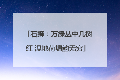 石狮：万绿丛中几树红 湿地荷塘韵无穷