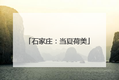 石家庄：当夏荷美