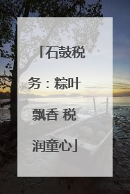 石鼓税务：粽叶飘香 税润童心