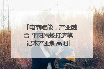 电商赋能，产业融合 平阳腾蛟打造笔记本产业新高地