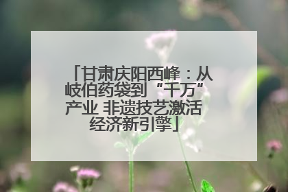 甘肃庆阳西峰：从岐伯药袋到“千万”产业 非遗技艺激活经济新引擎