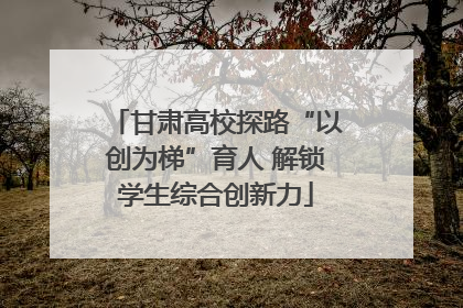 甘肃高校探路“以创为梯”育人 解锁学生综合创新力