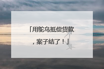 用鸵鸟抵偿货款，案子结了！
