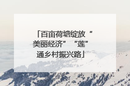 百亩荷塘绽放“美丽经济”“莲”通乡村振兴路