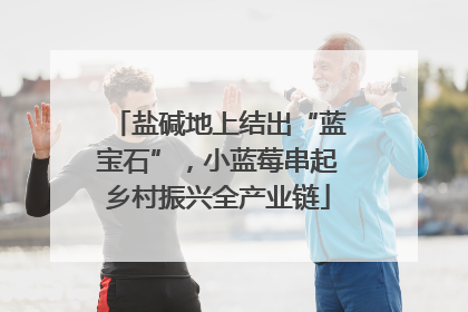 盐碱地上结出“蓝宝石”，小蓝莓串起乡村振兴全产业链