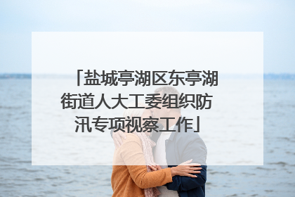 盐城亭湖区东亭湖街道人大工委组织防汛专项视察工作